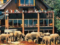 ��� �����. - ���������