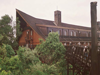 ��� �����. - ���������