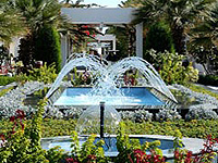 ��� ����� - ���������