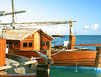 ��� ����� - ���������