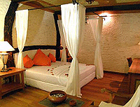 ��� ������ - ���������