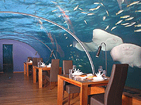 ��������� �������� - ���������