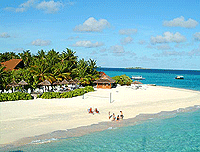 ��� ����� - ���������