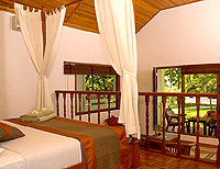 ��� ������ - ���������