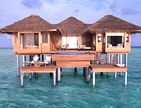 ��� ����� - ���������