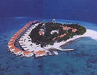 ��� ����� - ���������