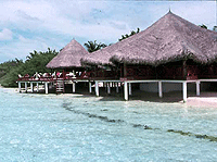 ��� ����� - ���������