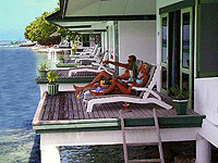 ��� ����� - ���������