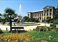 ��� ����� - ���������